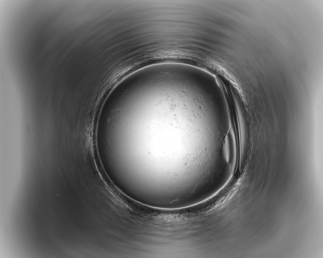 X0000096411033200801311348
