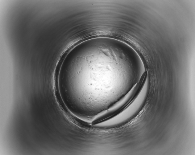 X0000096411034200801311348