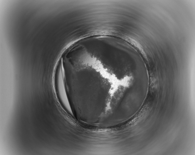 X0000096411035200801311348