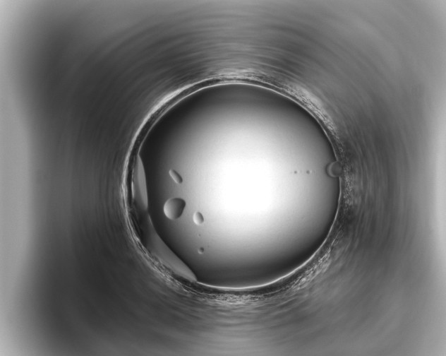 X0000096411036200801311348