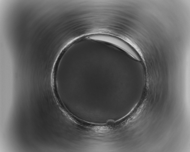 X0000096411037200801311348