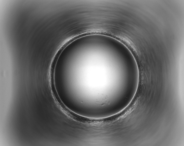 X0000096411038200801311348