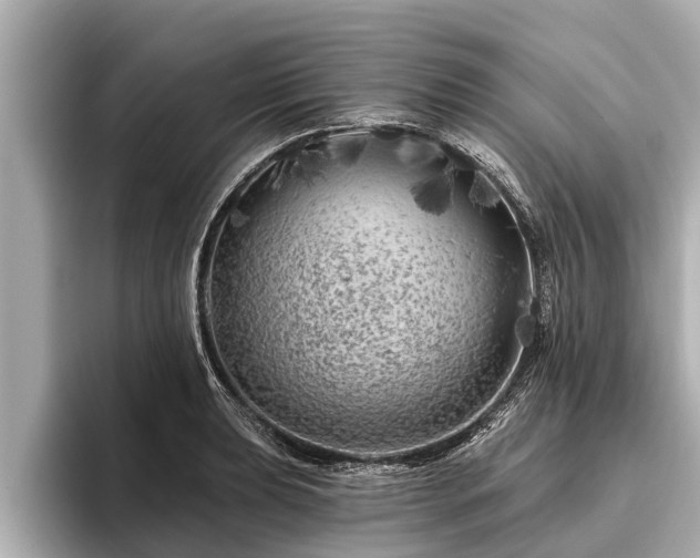 X0000096411039200801311348