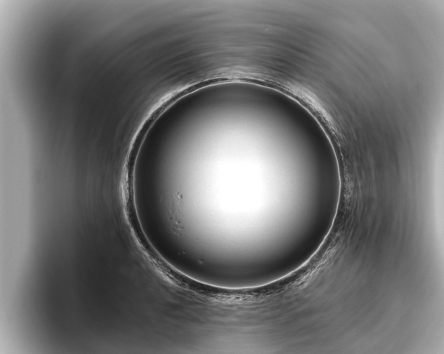 X0000096411040200801311348