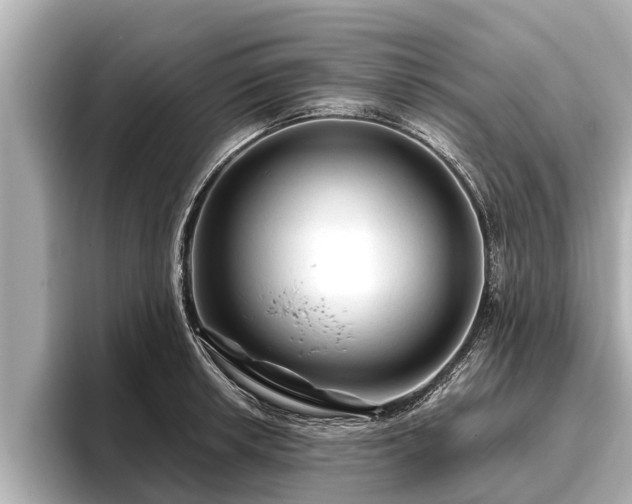 X0000096411042200801311348