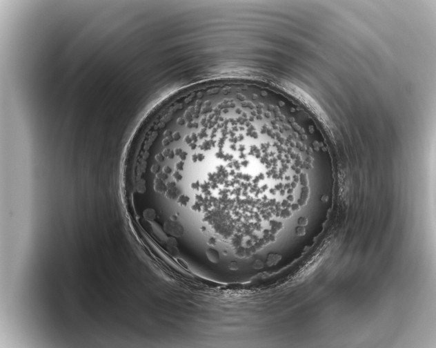 X0000096411043200801311348