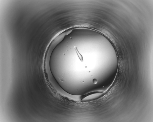 X0000096411044200801311348