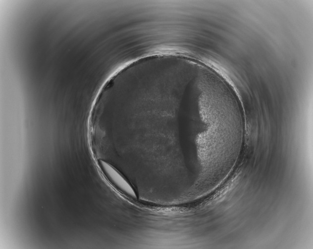 X0000096411045200801311348