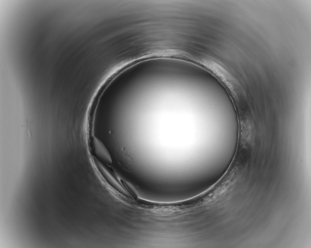 X0000096411046200801311348