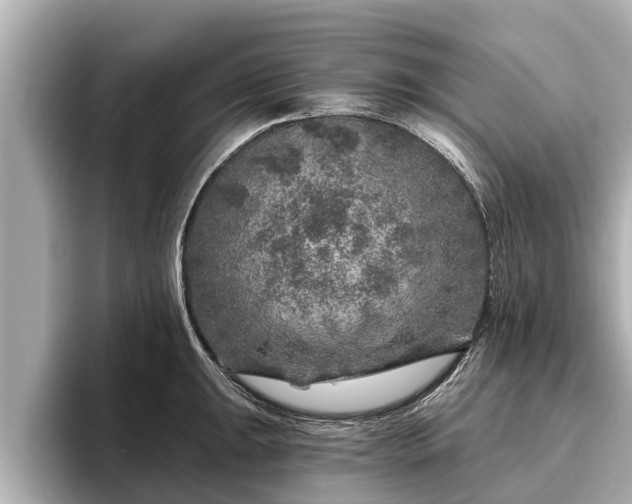 X0000096411047200801311348