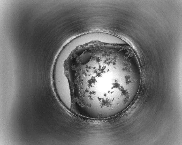 X0000096411048200801311348