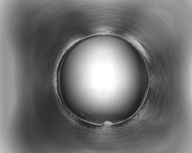 X0000096411051200801311348