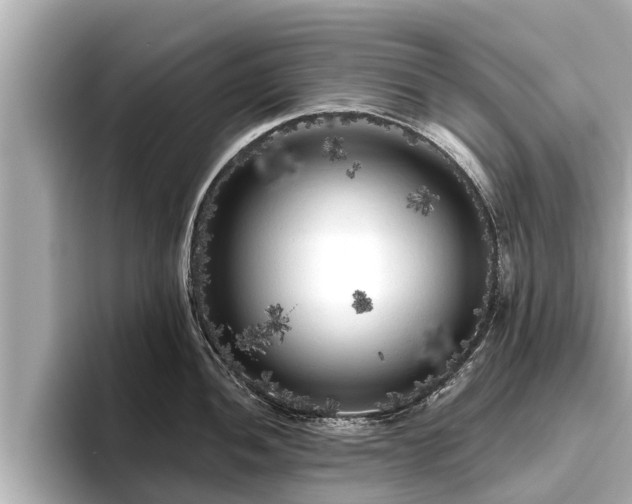 X0000096411052200801311348