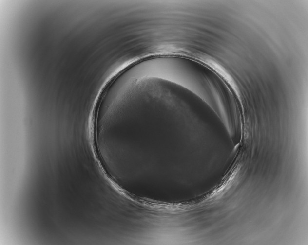 X0000096411053200801311348