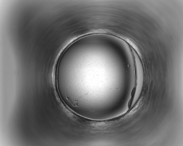 X0000096411054200801311348