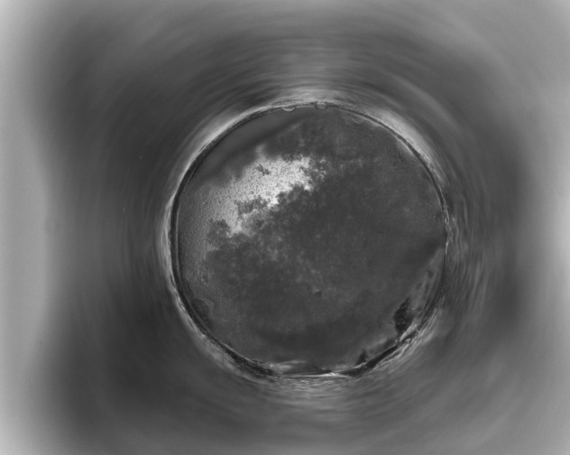 X0000096411055200801311348