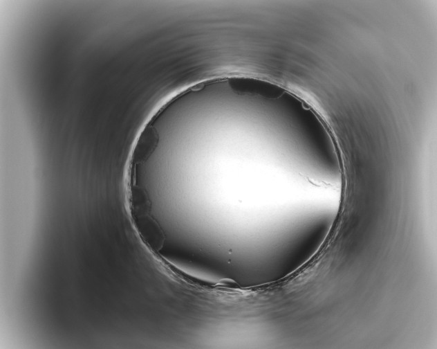 X0000096411056200801311348