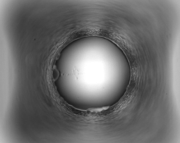 X0000096411057200801311348