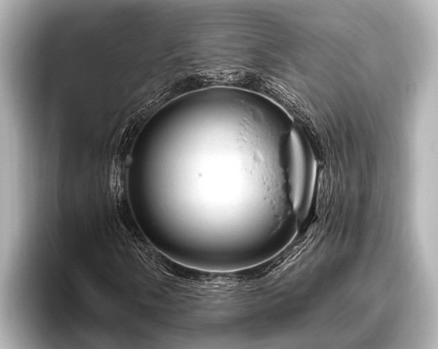 X0000096411058200801311348