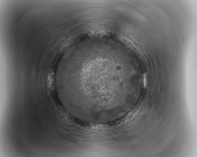 X0000096411059200801311348