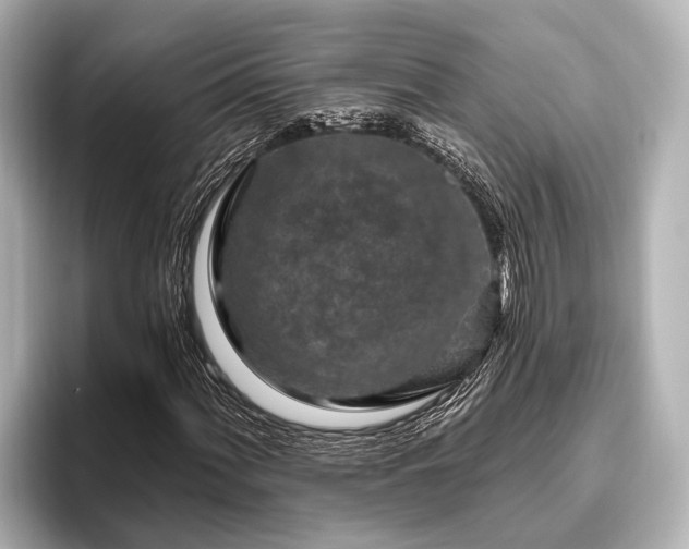 X0000096411060200801311348