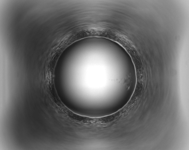 X0000096411061200801311348