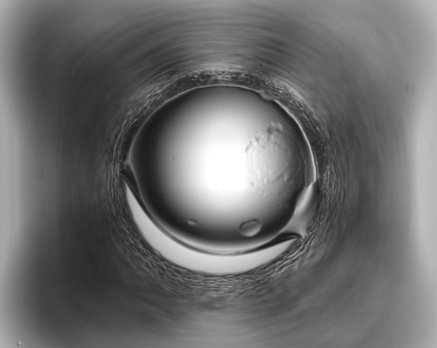 X0000096411062200801311348