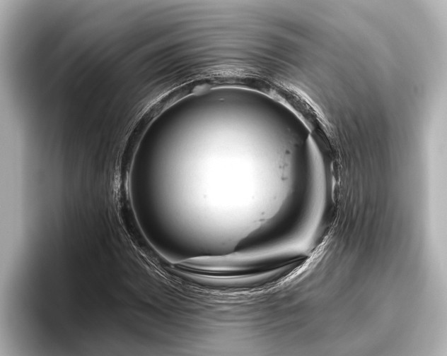 X0000096411065200801311348