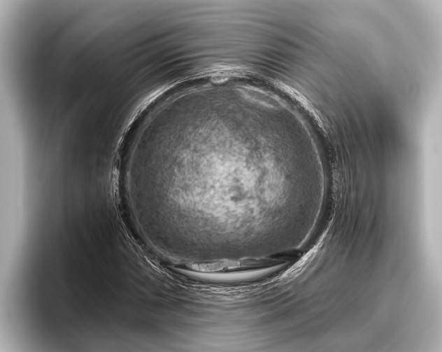 X0000096411066200801311348
