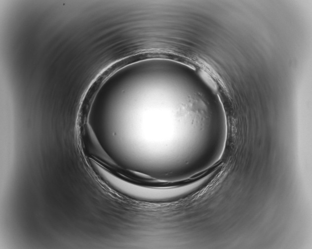 X0000096411068200801311348