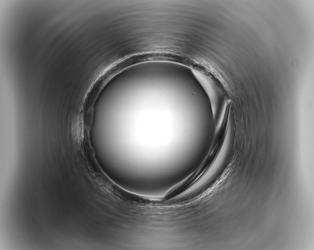 X0000096411069200801311348
