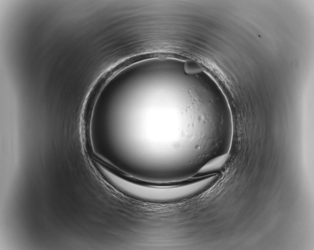 X0000096411072200801311348