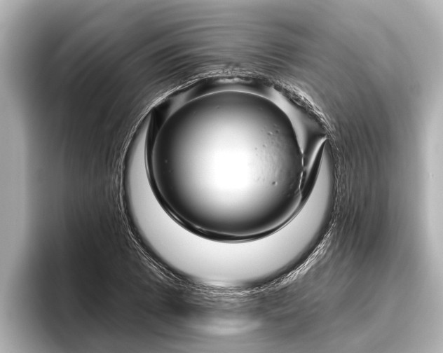 X0000096411073200801311348