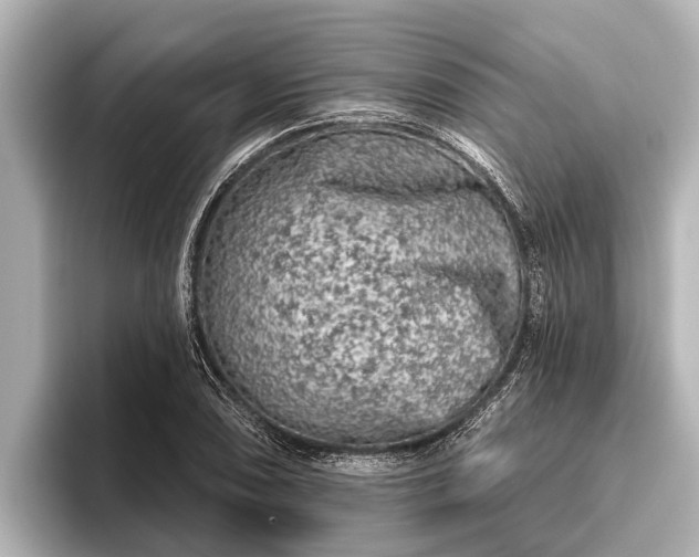 X0000096411074200801311348