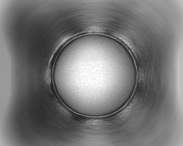 X0000096411075200801311348