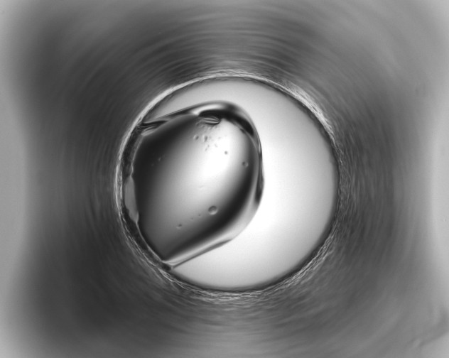 X0000096411076200801311348
