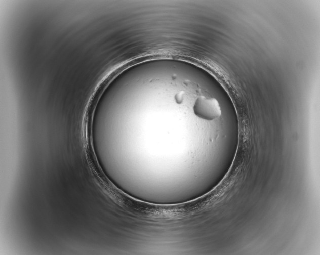 X0000096411078200801311347