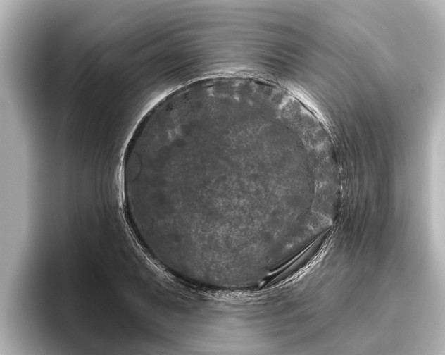X0000096411079200801311347