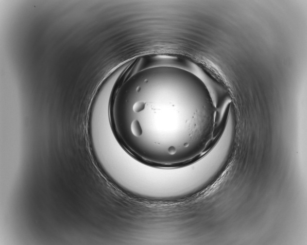 X0000096411081200801311347