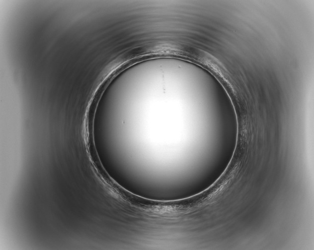 X0000096411082200801311347