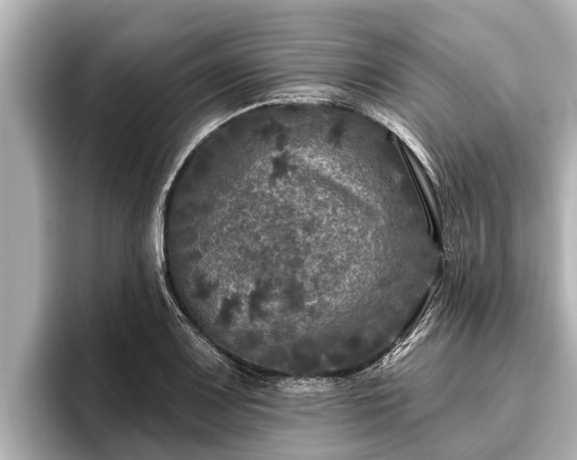 X0000096411083200801311347