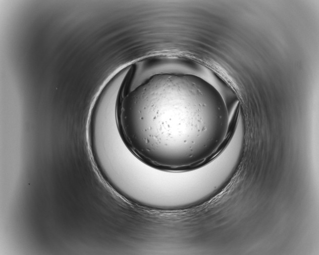 X0000096411084200801311347