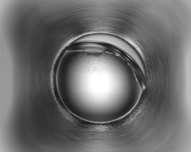X0000096411085200801311347