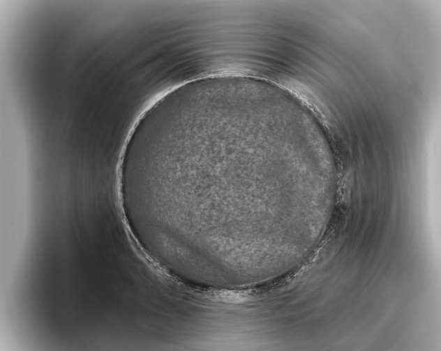 X0000096411086200801311347