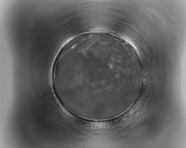 X0000096411087200801311347