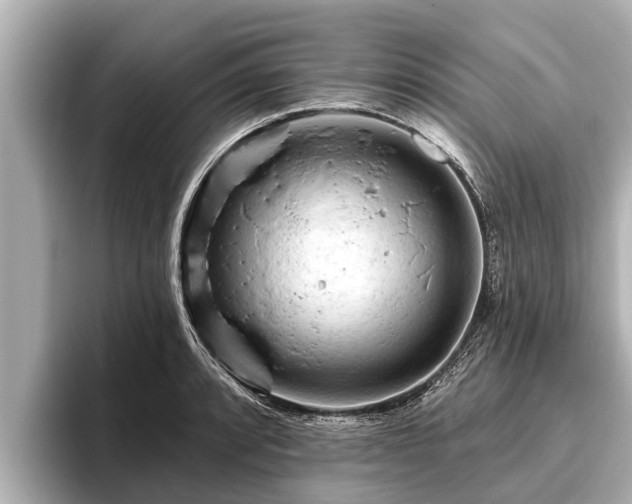 X0000096411088200801311347