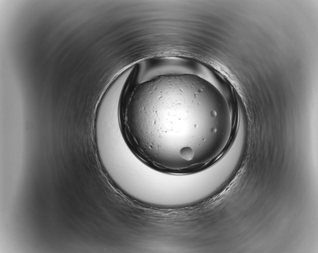 X0000096411089200801311347