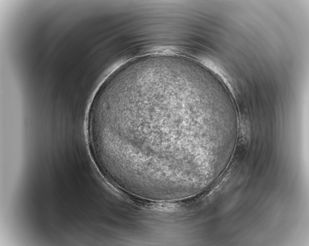 X0000096411090200801311347