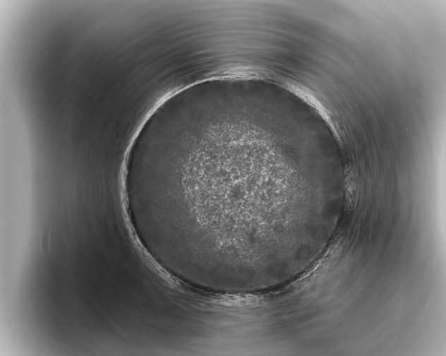 X0000096411091200801311347