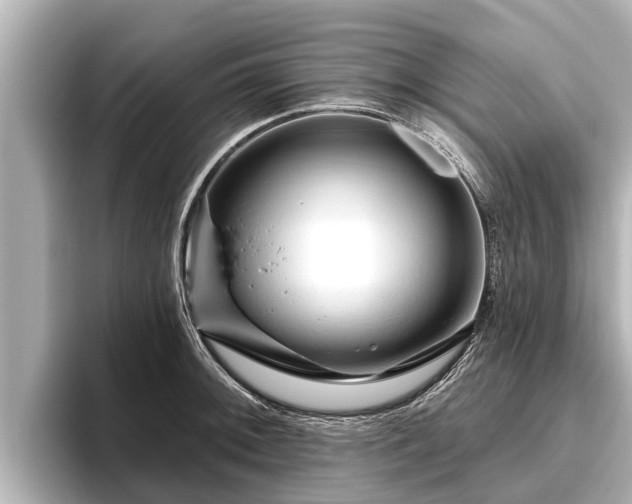 X0000096411092200801311347